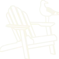 Beach Chair